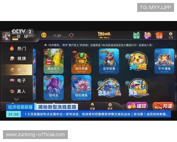 尊龙娱乐支付方式多样化支持多平台快速充值与提现操作